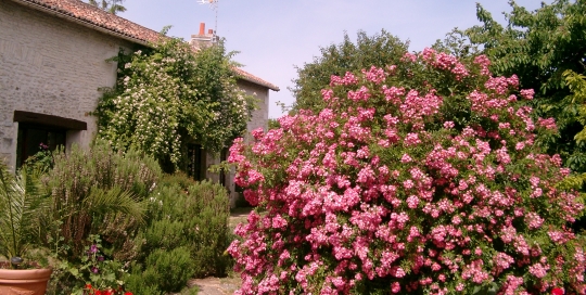 Jardin la ferme du château