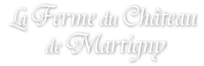 Chambres d'hôtes et gîte au Futuroscope – La ferme du château de Martigny Logo
